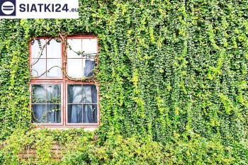 Siatki Zduńska Wola - Siatka z dużym oczkiem - wsparcie dla roślin pnących na altance, domu i garażu dla terenów Zduńskiej Woli